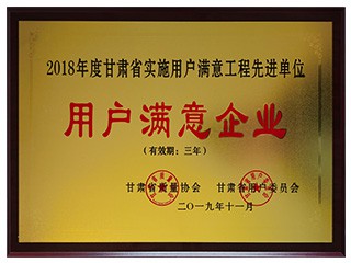 2018年度甘肅省實施用戶滿意工程先..